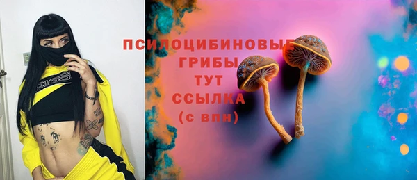 мяу мяу мука Алзамай