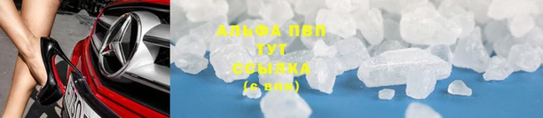 мяу мяу мука Алзамай