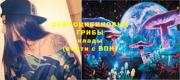 ПСИЛОЦИБИНОВЫЕ ГРИБЫ Алексин