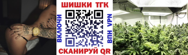 Купить где  Советск  Конопля сатива 